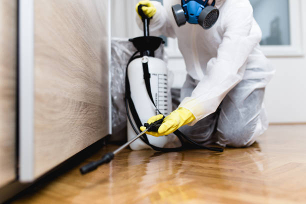 Best Pest Inspection Near Me  in Grand Coulee, WA