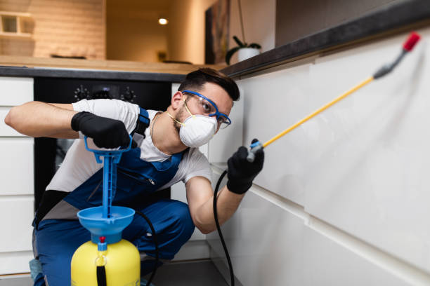 Best Termite Control Services  in Grand Coulee, WA