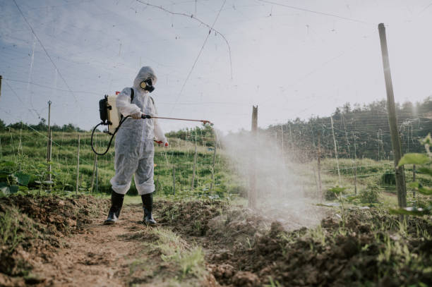 Wasp Removal Services in Grand Coulee, WA
