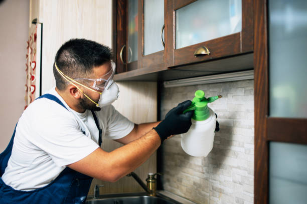 Best Best Pest Control Companies  in Grand Coulee, WA