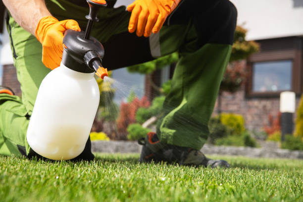 Best Best Pest Control Companies  in Grand Coulee, WA