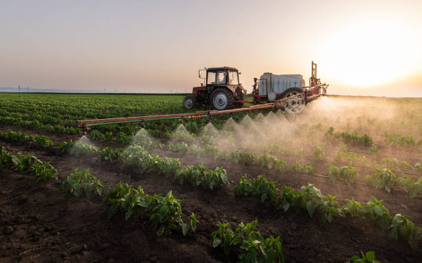 Trusted Grand Coulee, WA Pest Control Experts
