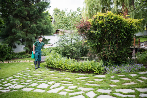 Best Affordable Pest Control Services  in Grand Coulee, WA