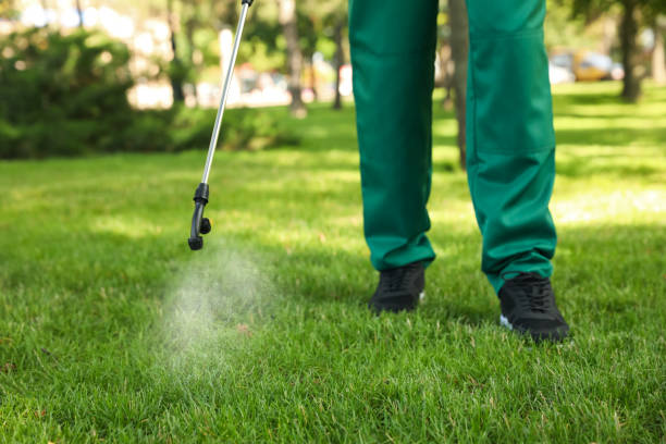 Best Ant Control Services  in Grand Coulee, WA