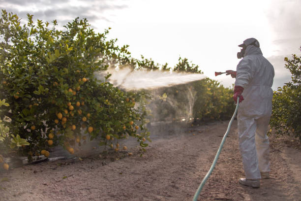 Best Pest Removal Services  in Grand Coulee, WA