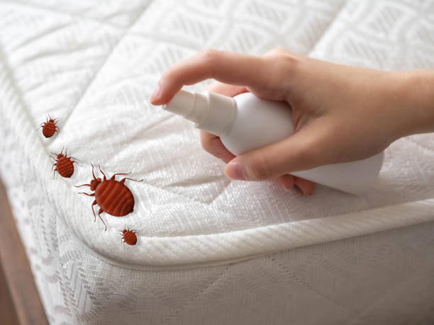 Best Mosquito Control Services  in Grand Coulee, WA