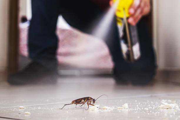 Trusted Grand Coulee, WA Pest Control Experts