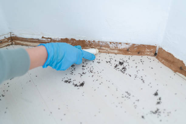 Best Commercial Pest Control Services  in Grand Coulee, WA